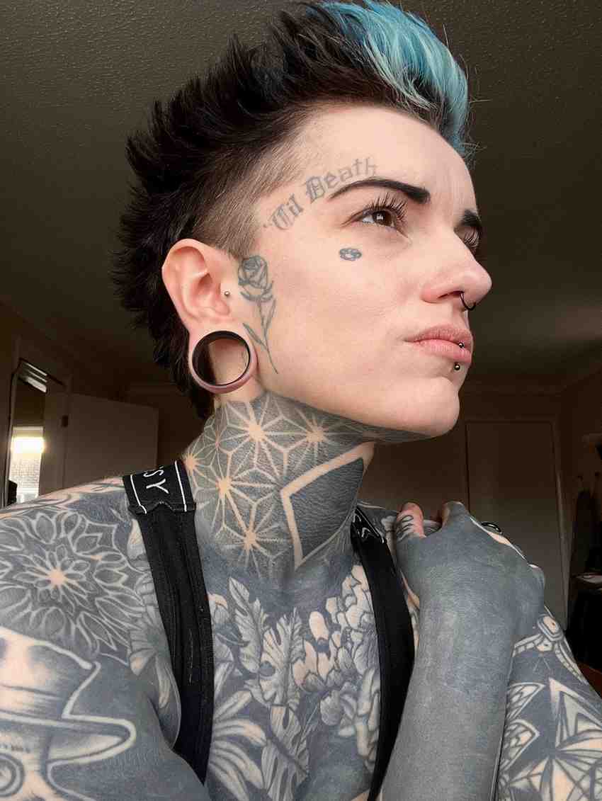 PunkPlugs Double-Flared Basic Ear Tunnels - Threadless