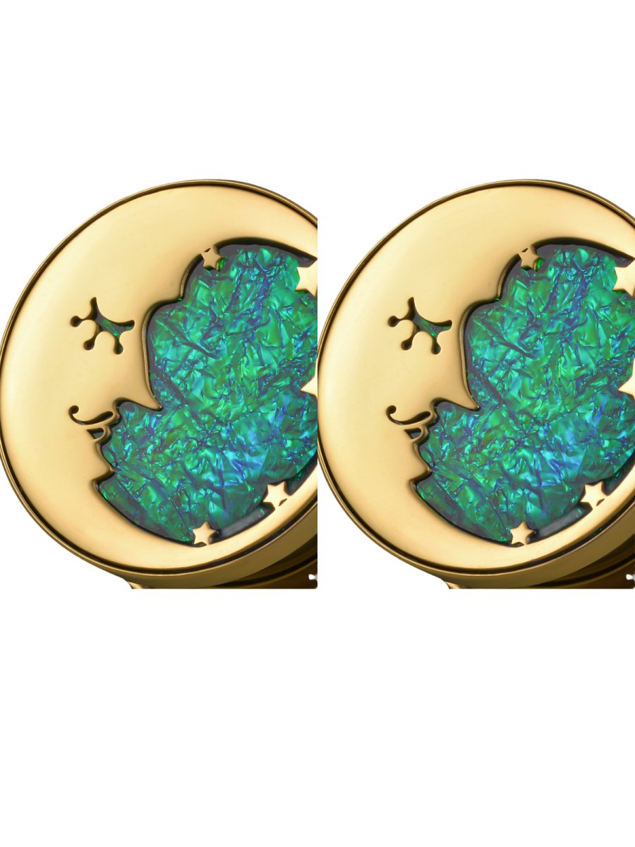 PunkPlugs Moon & Sun Ear Gauges Plugs